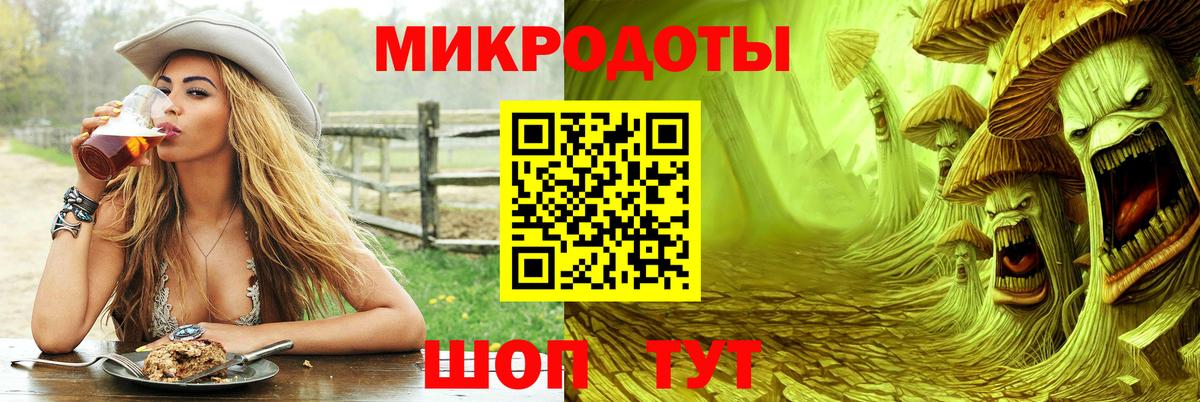 Псилоцибиновые грибы мицелий Новочебоксарск