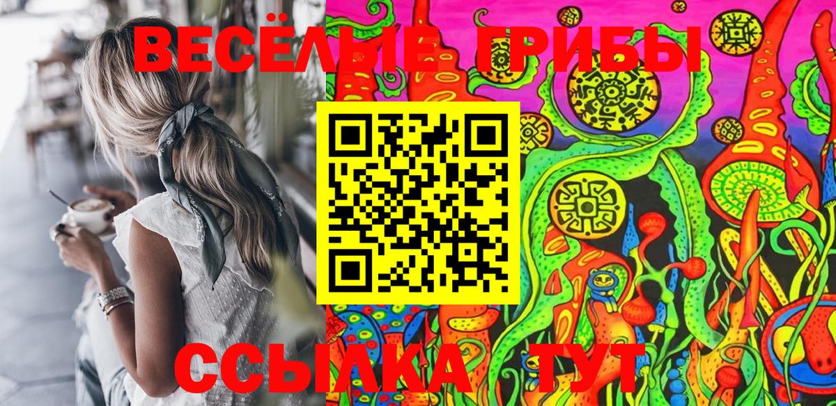 Новочебоксарск  хочу наркоту  Вход с VPN  Галлюциногенные грибы Psilocybine cubensis 